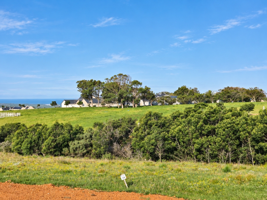 0 Bedroom Property for Sale in Kabeljauws Eastern Cape